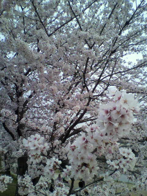 c0228942_14414772.jpg