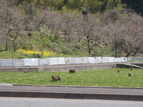 b0168843_16152757.jpg