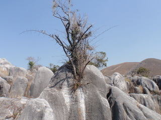 b0168843_16313137.jpg