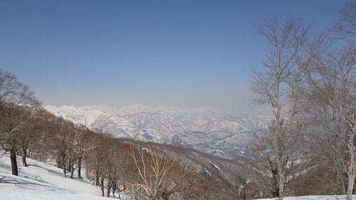 c0042847_1217274.jpg