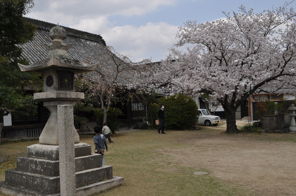 a0177648_236258.jpg