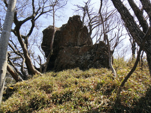 c0179351_1113010.jpg