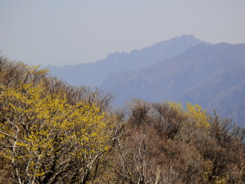 c0179351_11194711.jpg