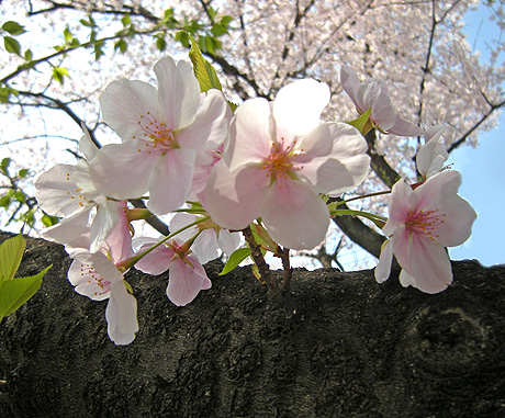 a0001354_22352963.jpg