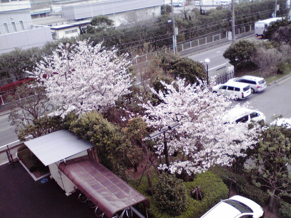 f0057955_23341952.jpg