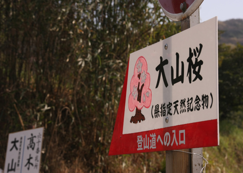 f0097456_2394330.jpg