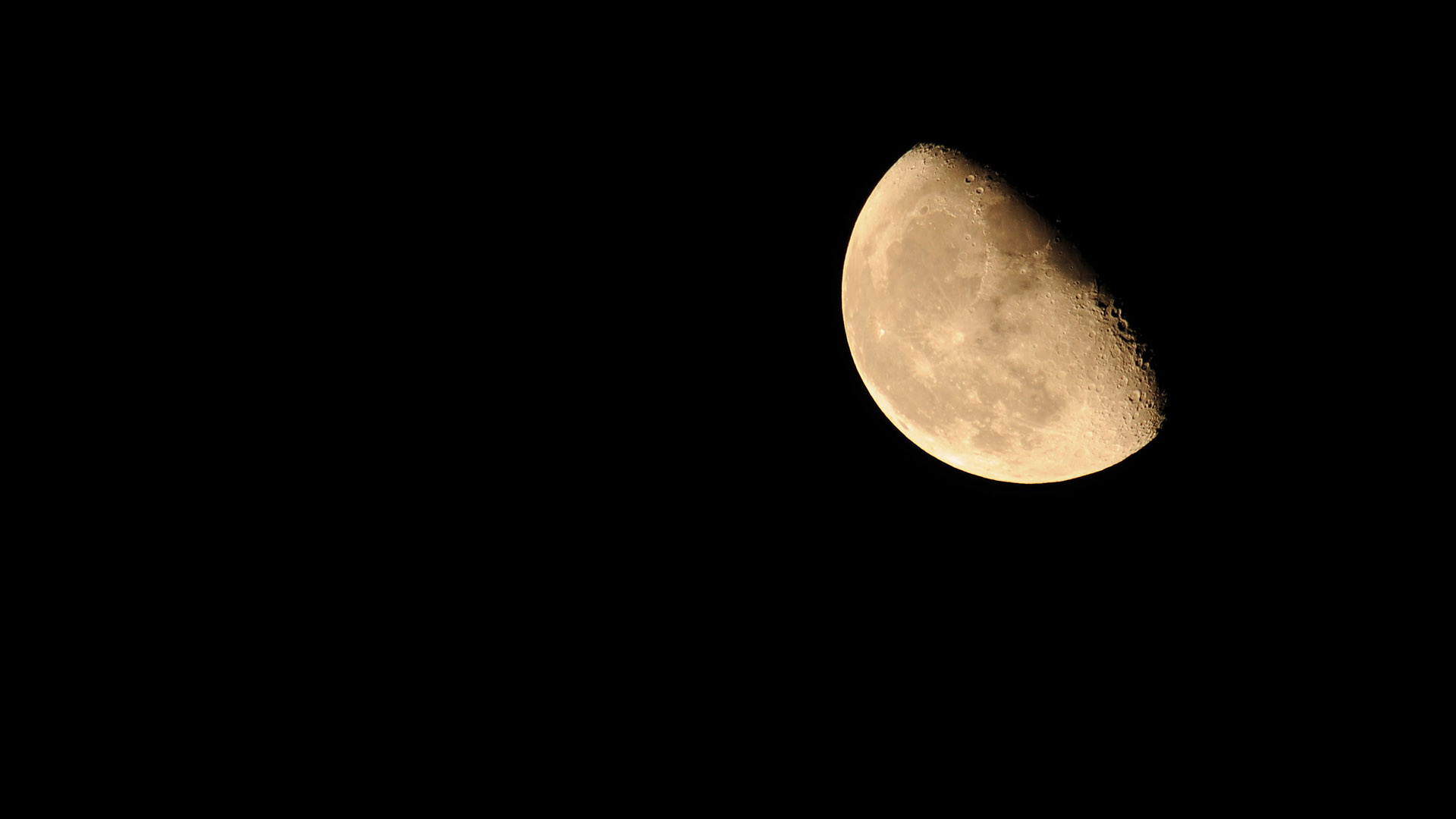 f0201157_118041.jpg