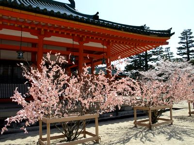 e0129862_2182991.jpg