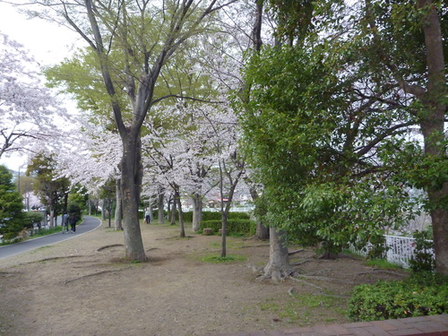 a0104464_14432648.jpg