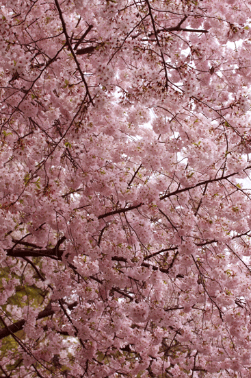 f0107364_12463674.gif