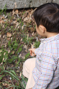 f0107364_18164392.gif