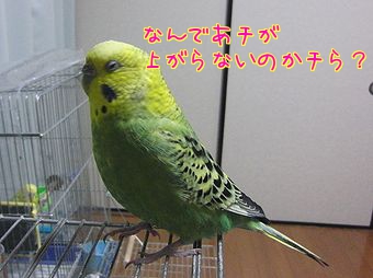 f0196665_23205841.jpg