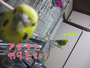 f0196665_23281247.jpg