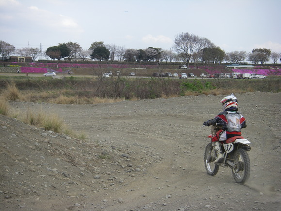 b0024266_943825.jpg