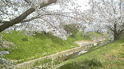 c0171468_2255375.jpg