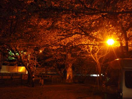 b0083170_1141385.jpg