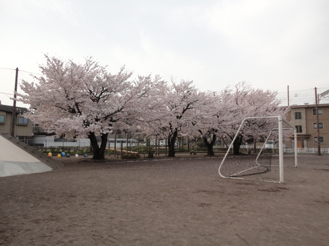d0109373_23563983.jpg