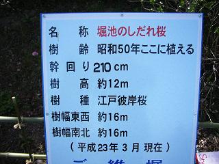 a0064474_9442648.jpg