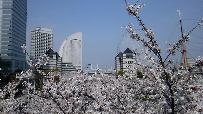 c0061774_21365022.jpg