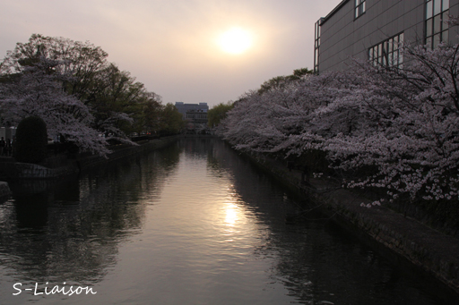 b0139477_042331.jpg