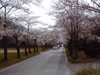 c0096582_23122033.jpg
