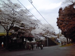 c0096582_23123259.jpg