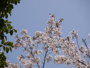 a0133493_11373054.jpg
