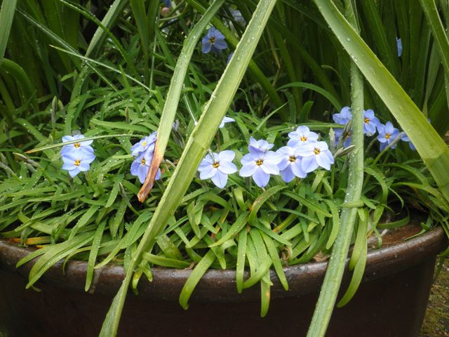 f0130894_20554496.jpg