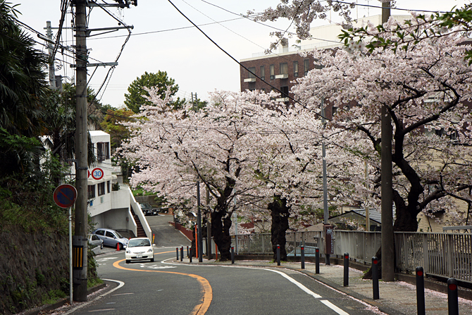 c0025895_09473.jpg