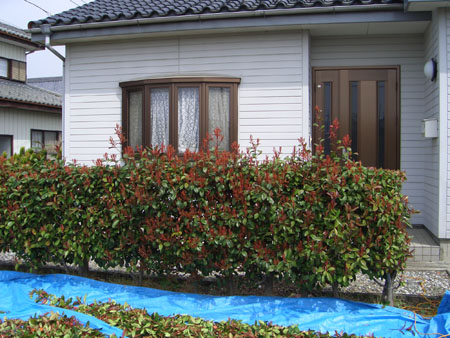 d0000995_23531175.jpg