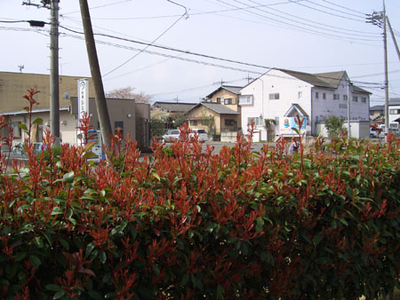 d0000995_23533228.jpg