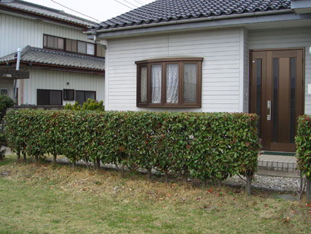 d0000995_23544475.jpg