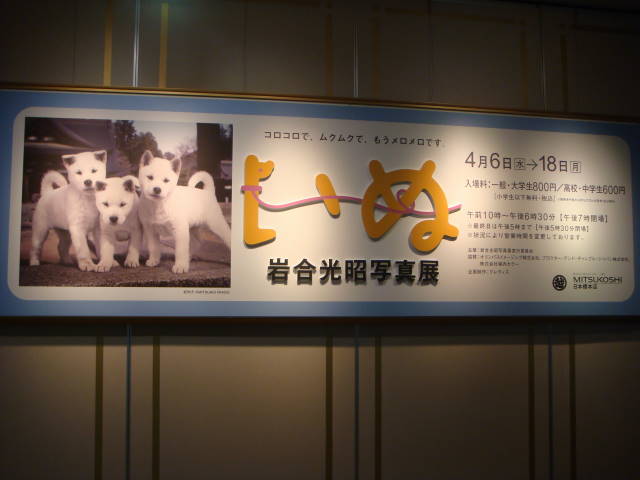 d0098295_175067.jpg