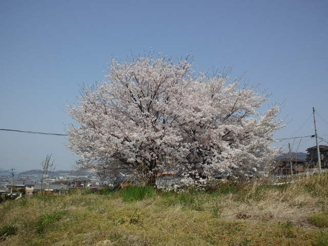 f0077595_14554057.jpg