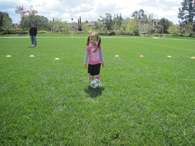 f0209395_15351365.jpg