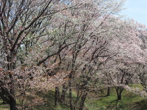 b0044296_1732093.jpg