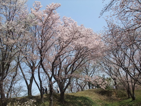 b0044296_17344584.jpg