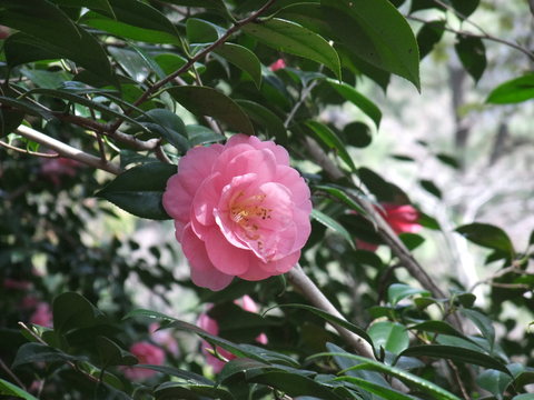 b0044296_1738859.jpg