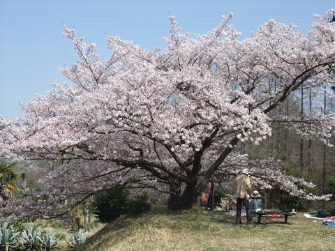 b0044296_1745078.jpg