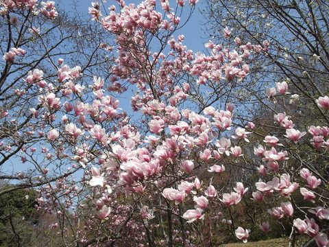 b0044296_17492087.jpg