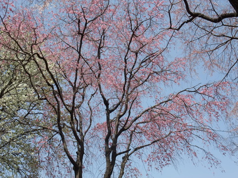 b0044296_180152.jpg