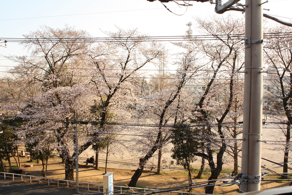 b0080398_10312250.jpg
