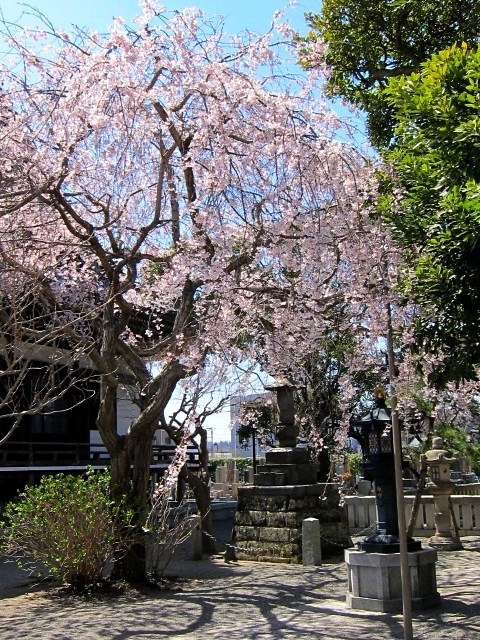 b0145398_2121047.jpg