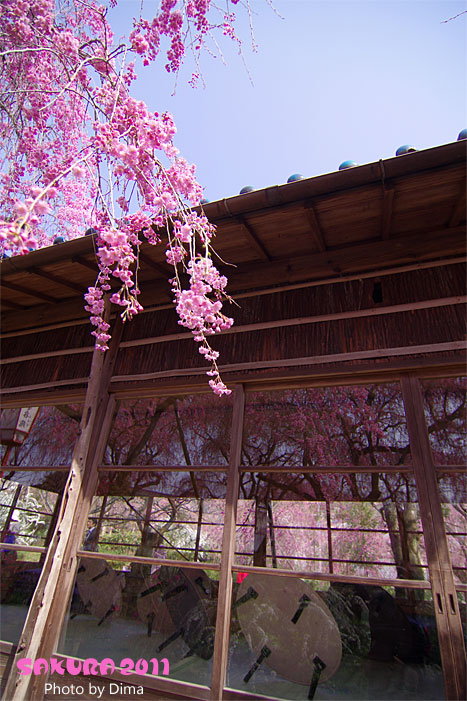 c0183700_21504515.jpg