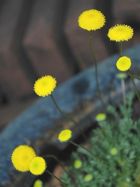 e0025300_1415367.jpg