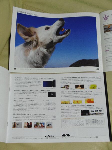 a0032004_22503333.jpg