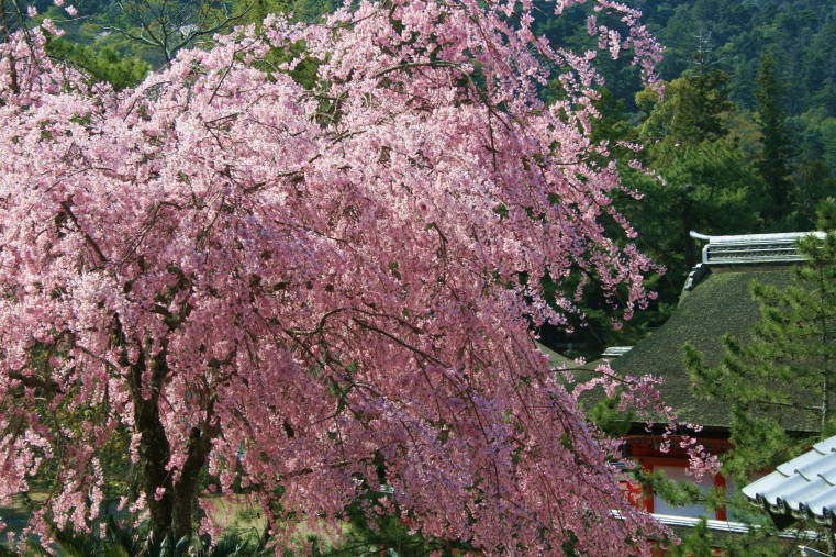 f0031304_630577.jpg