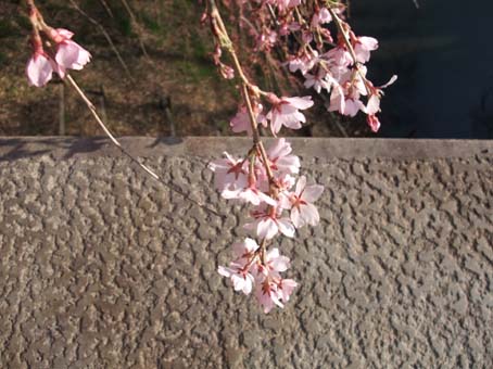 f0014205_13563689.jpg