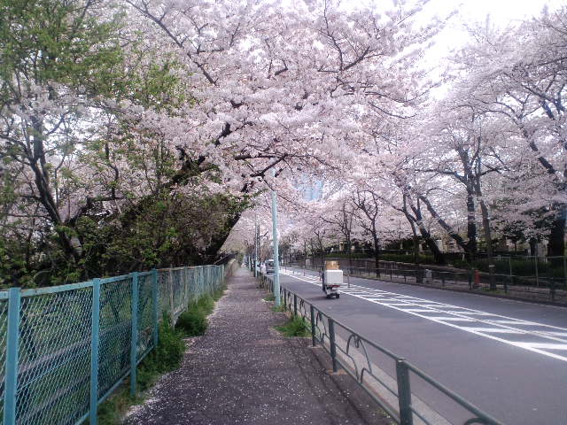a0088007_3515022.jpg