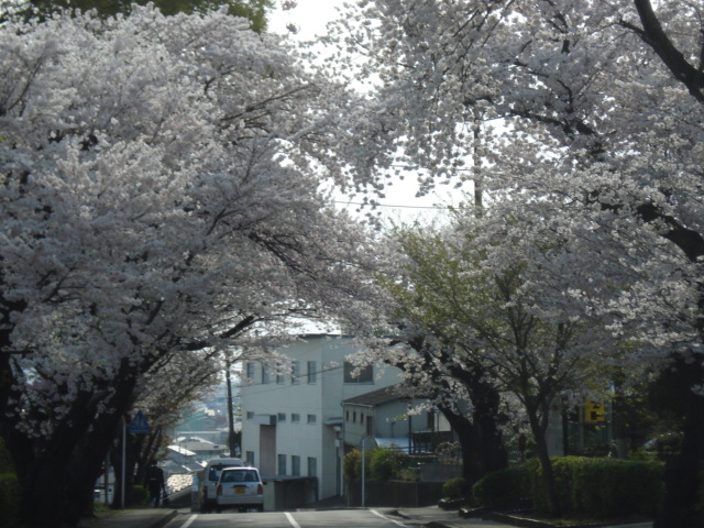 e0015108_744628.jpg